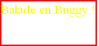 wp42dfbe7b.png